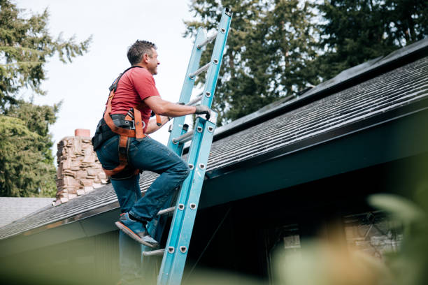 Best Gutter Installation and Repair  in Central Heights Midland City, AZ