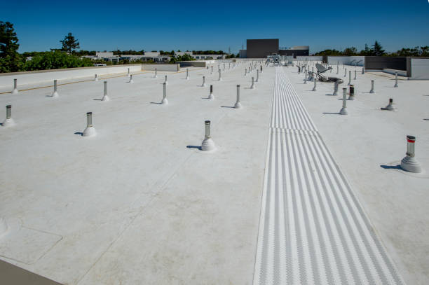 Best Metal Roofing Installation  in Central Heights Midland City, AZ